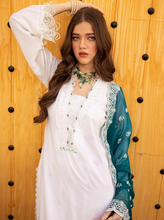 Allys Stitched Chikankari Lawn Collection 2024