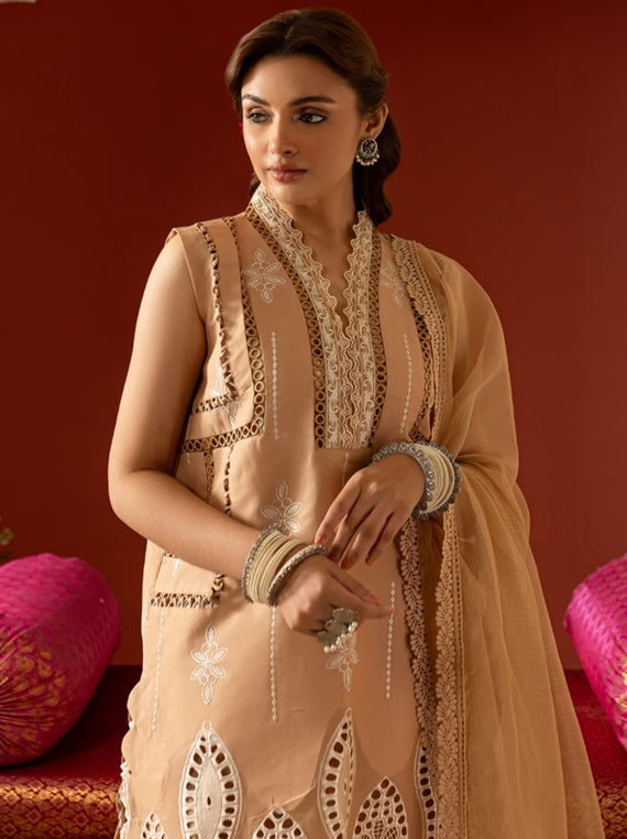 Dastan-e-Noor By Parishay Lawn Collection 2025 (DSC-13)