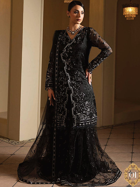 Aashnai By Lavish Luxury Chiffon Collection 2025