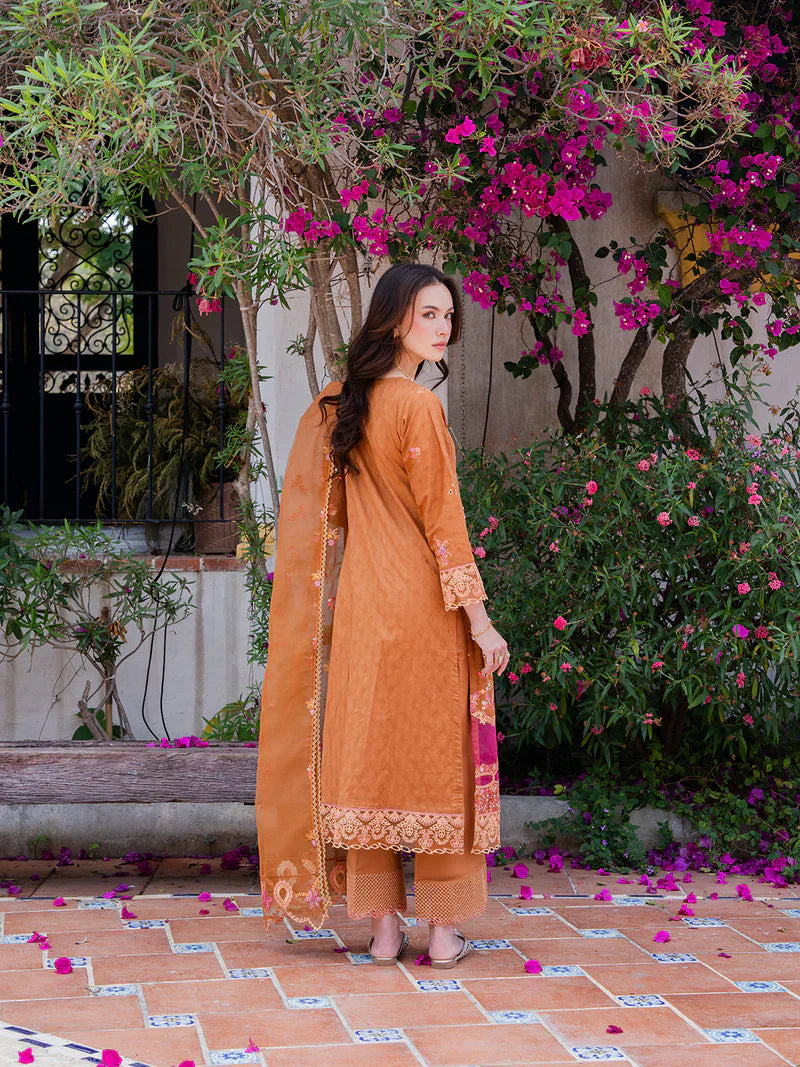 Aurea Ready to Wear Collection by Allys | Star Fabrics