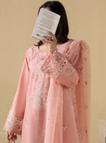 Zariya Native Stitched Embroidered Collection – Star Fabrics (ZARI 142)