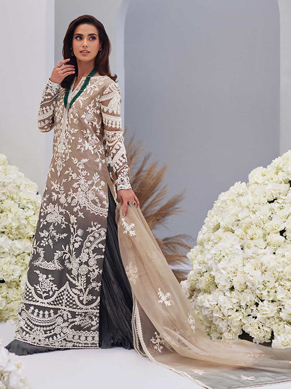 Mina Hasan Unstitched Luxury Festive Collection 2024 Vol-01 (Inaaya)