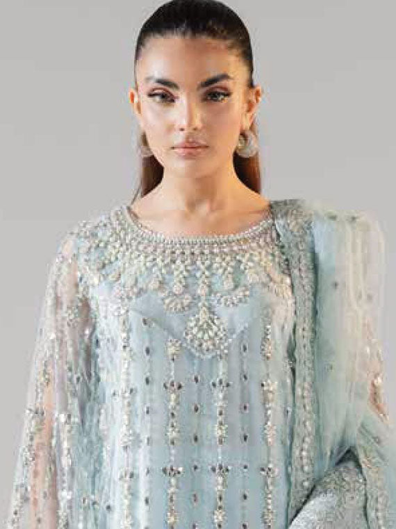 Zareez By Freesia Luxury Formals Collection 2024 (FS-40026)