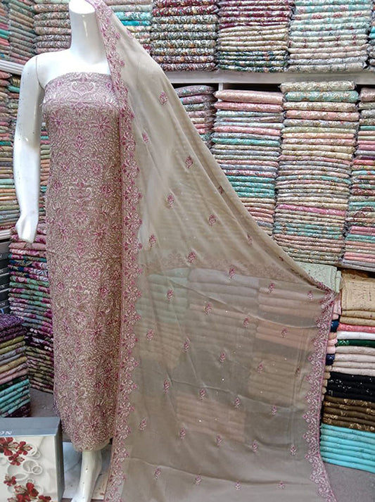 Embroidered Chiffon Collection 2024 (D-13)