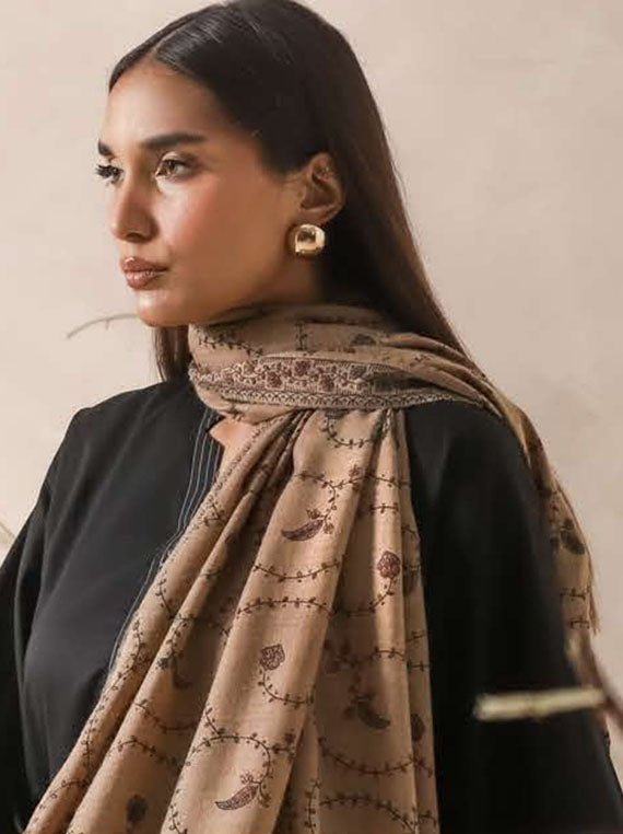 Asim Jofa Winter Shawl Collection 2024 (AJHS-18)