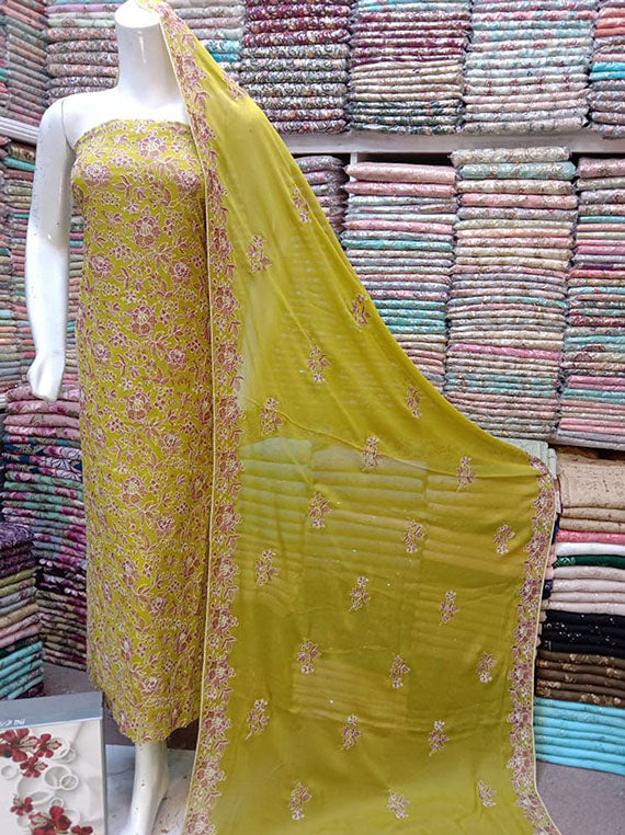 Embroidered Chiffon Collection 2024 (D-18)