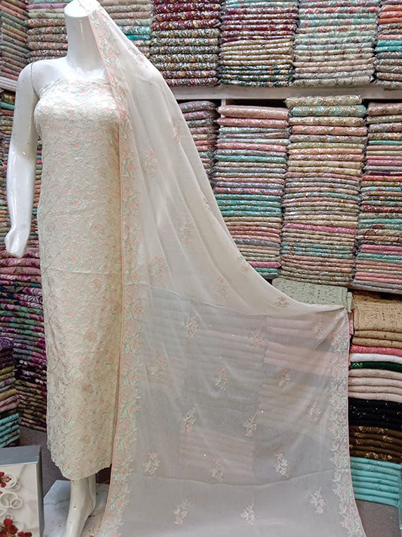 Embroidered Chiffon Collection 2024 (D-19)