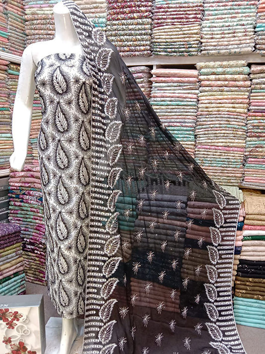 Embroidered Chiffon Collection 2024 (D-23)