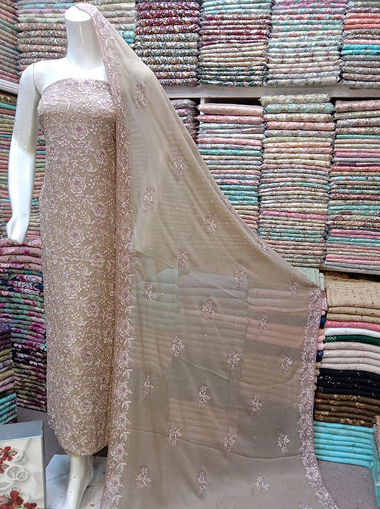 Embroidered Chiffon Collection 2024 (D-24)