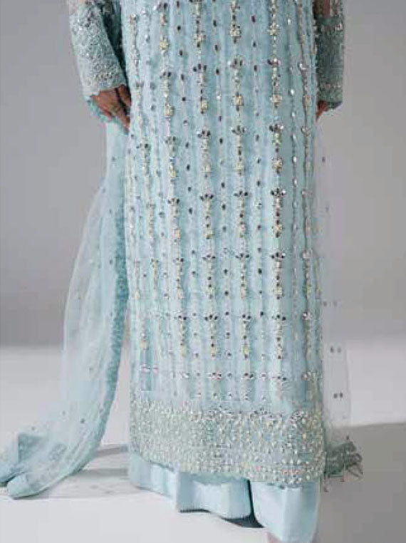 Zarez By Freesia Luxury Formals Collection 2024 (FS-40026)