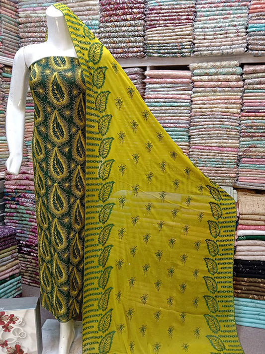 Embroidered Chiffon Collection 2024 (D-27)