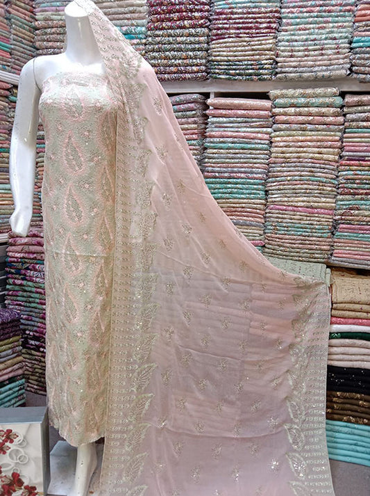 Embroidered Chiffon Collection 2024 (D-29)
