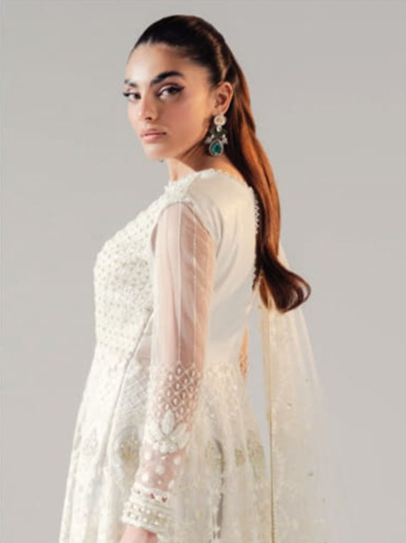 Zarez By Freesia Luxury Formals Collection 2024 (FS-40030)