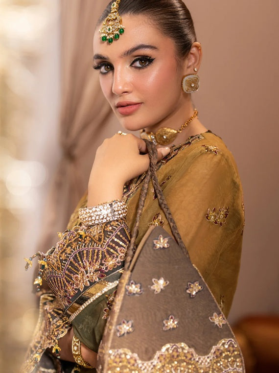 Jhalak By Alizeh Unstitched Formals Collection 2024 Vol-01 (AF-JHLK-06-ZABREEN)