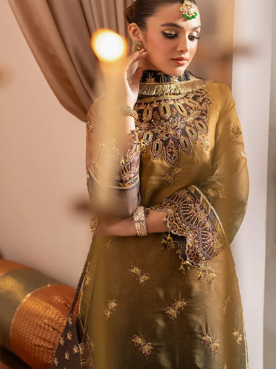 Jhalak By Alizeh Unstitched Formals Collection 2024 Vol-01 (AF-JHLK-06-ZABREEN)