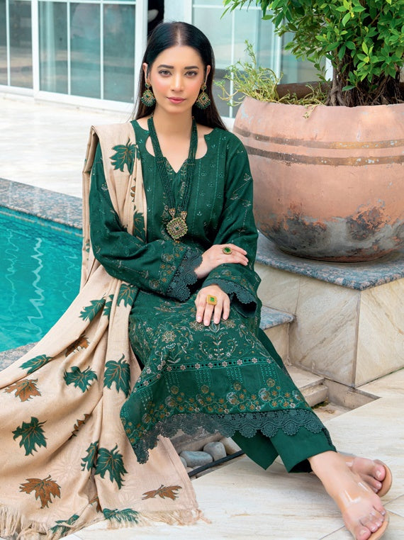 Vasal luxury winter dhanak collection By Riaz Arts (D-05)