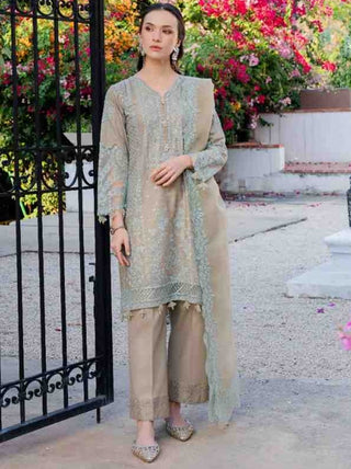 Aurea Ready to Wear Collection by Allys | Star Fabrics (AL-1122 DASHI)