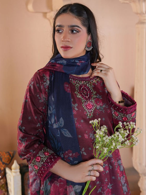 Readymade All Over Dhanak Collection 2024 By Bin Qasim (Design-06)