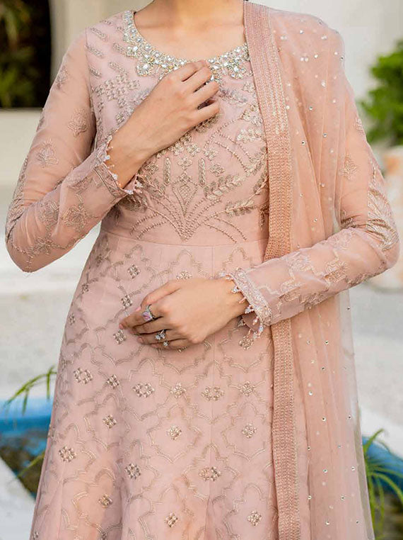 Naqsh By Safeera Luxury Chiffon Collection 2024 Vol-14 (S-1407)