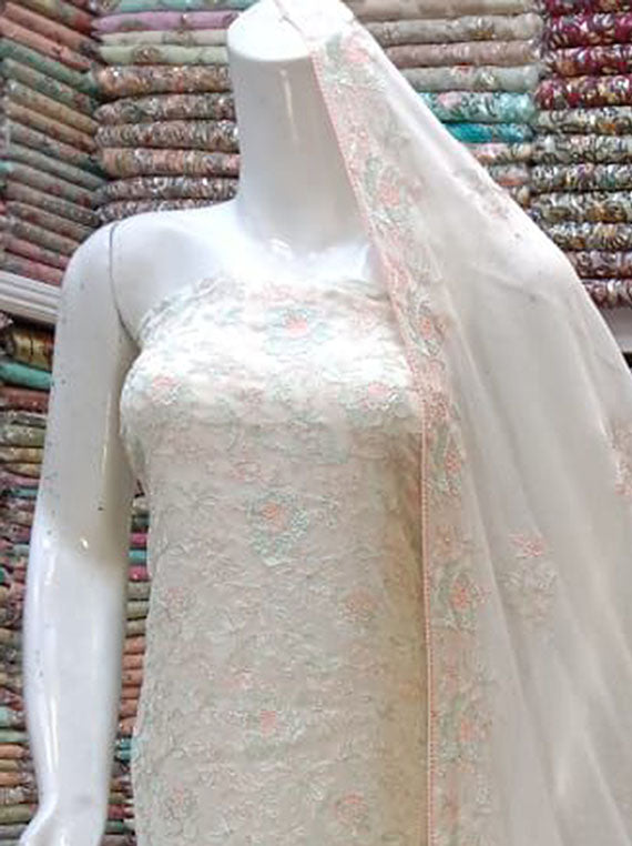 Embroidered Chiffon Collection 2024 (D-19)