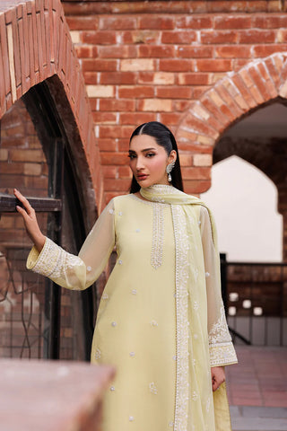 Hand Embellished Embroidered Chiffon Suit | Raw Silk Trouser & Dupatta