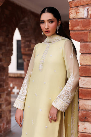 Hand Embellished Embroidered Chiffon Suit | Raw Silk Trouser & Dupatta