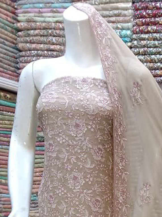 Embroidered Chiffon Collection 2024 (D-24)