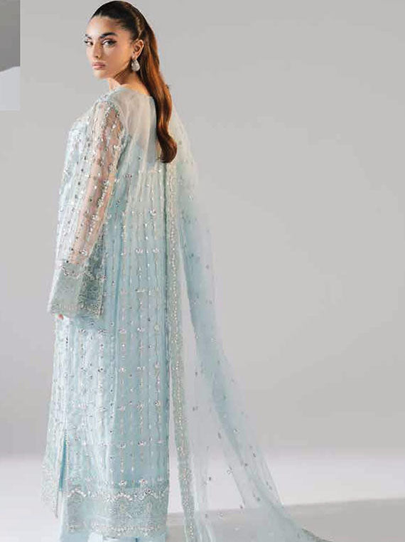 Zarez By Freesia Luxury Formals Collection 2024 (FS-40026)