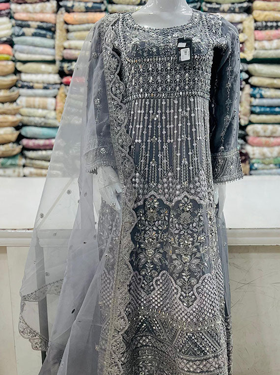 Ready To Wear Fancy Frock Collection 2024 By Sajni (D-02)