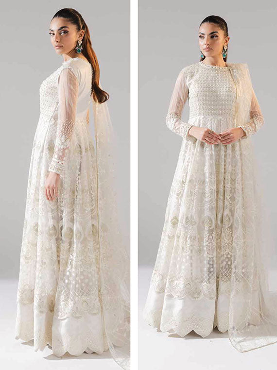 Zarez By Freesia Luxury Formals Collection 2024 (FS-40030)