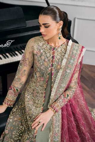Embroidered Chiffon Unstitched Collection 2026 | Wedding & Party Wear
