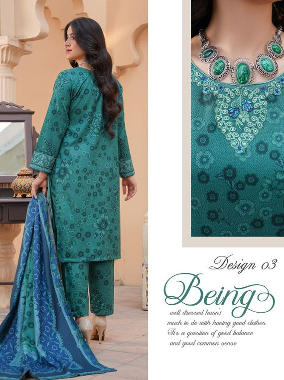 Readymade All Over Dhanak Collection 2024 By Bin Qasim (Design-03)