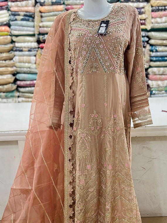 Ready To Wear Fancy Frock Collection 2024 By Sajni (D-05)