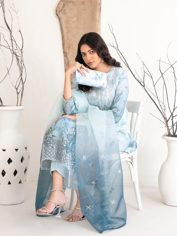 Mulan By Tawakkal Embroidered Organza Collection 2025 (D-2222)