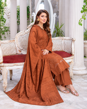 Riaz Arts Musfirah Luxury Winter Embroidered Wool Touch Peach Suit