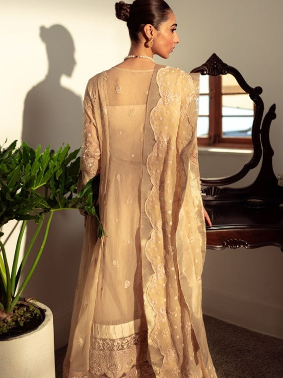 Dastaan By Neeshay Chiffon Collection 2024 Vol-02 (06 Naaz)