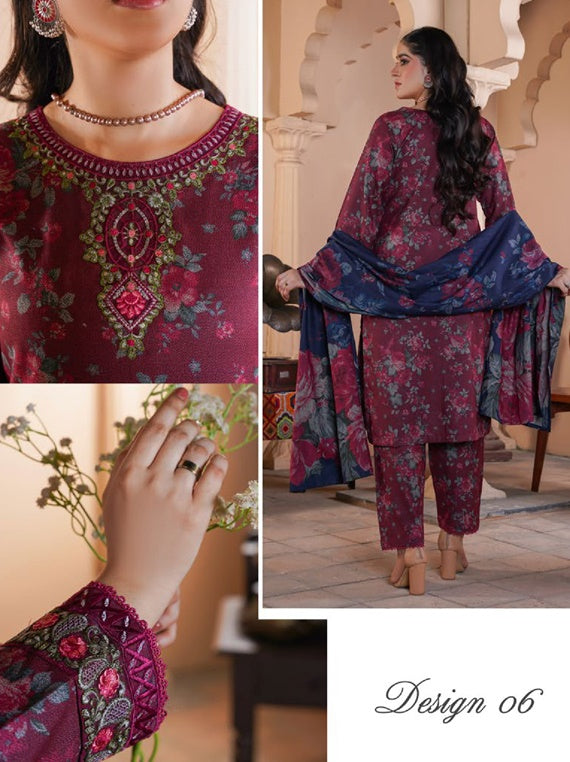 Readymade All Over Dhanak Collection 2024 By Bin Qasim (Design-06)