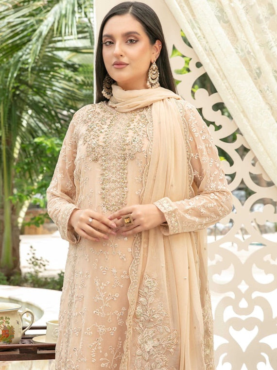 Nuresa By Tawakkal Semi-Stitched Chiffon Collection 2025 (D-5724)