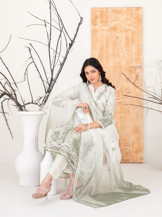 Mulan By Tawakkal Embroidered Organza Collection 2025 (D-2224)