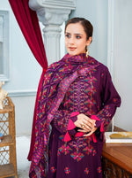 Dastan-e-Noori By 𝑴𝑨𝑵𝑰𝒁𝑨𝒀  Embroidered Karandi Collection (Design-08)