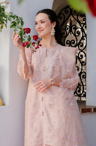 Aurea Ready to Wear Collection by Allys | Star Fabrics (AL-1118 ALLOPY)
