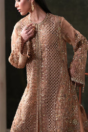 Luxury Handmade Organza Panel Suit with Embroidered Dupatta & Raw Silk Trouser