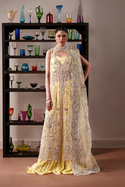Luxury Handmade Organza Panel Suit with Neck Jaal & Raw Silk Trouser