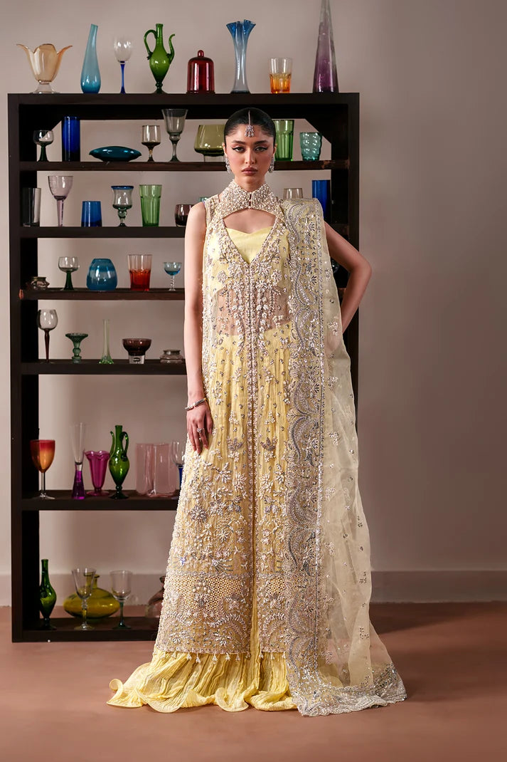 Luxury Handmade Organza Panel Suit with Neck Jaal & Raw Silk Trouser