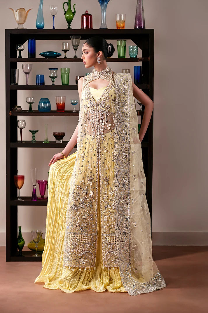 Luxury Handmade Organza Panel Suit with Neck Jaal & Raw Silk Trouser