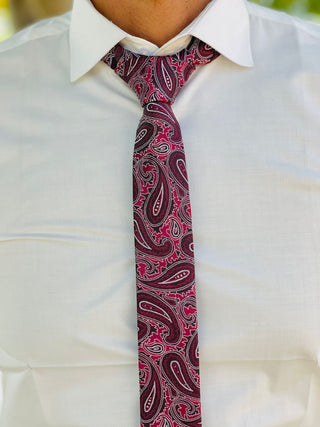 Elegant Taupe 2-Piece Suit Black with Burgundy Paisley Tie & White Shirt