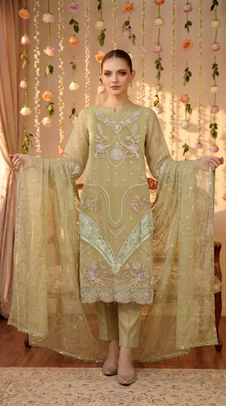 Anaya Noor by Zebtan Party Wear Dresses | Luxury Pakistani Designer Collection