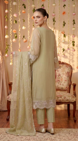Anaya Noor by Zebtan Party Wear Dresses | Luxury Pakistani Designer Collection