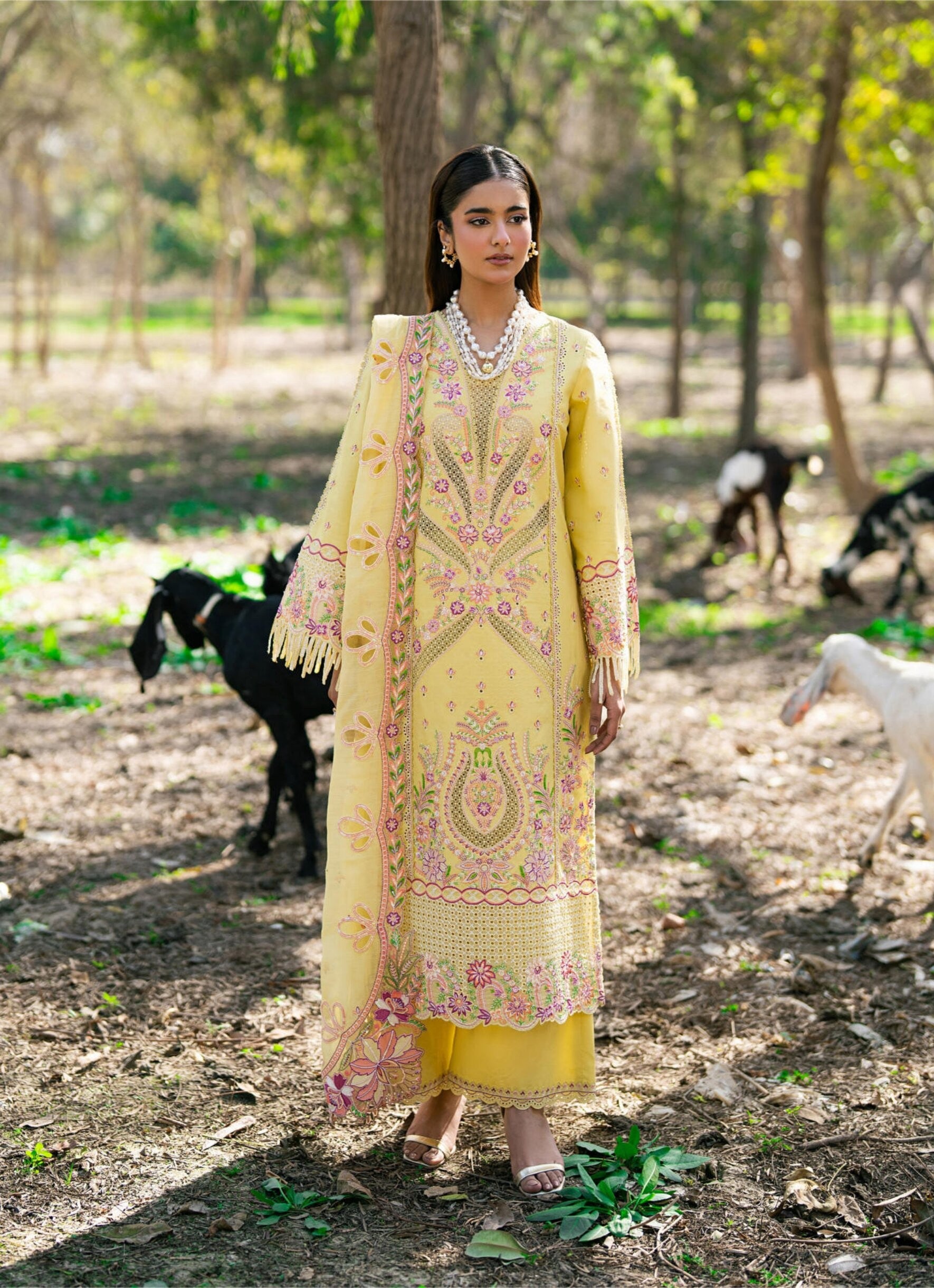 HONEY – Yellow Embroidered Lawn 3-Piece with Chiffon Dupatta