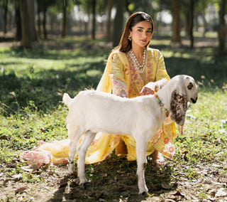 HONEY – Yellow Embroidered Lawn 3-Piece with Chiffon Dupatta